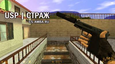 Модель USP | Страж для C-s 1.6