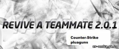 Revive a teammate 2.0.1