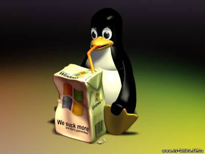 Server_by IIaIIik, под Linux